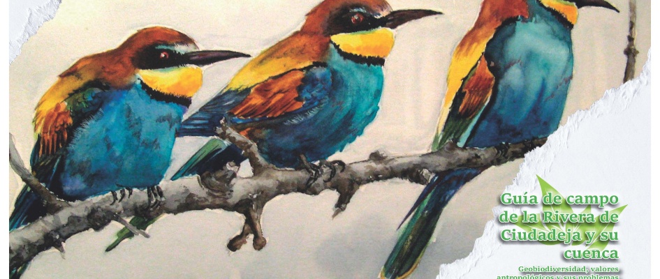 Portada cuaderno de campo